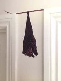 Image 2 of Brian the Fruit Bat ~ Removable Wall sticker 