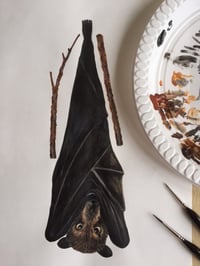 Image 5 of Brian the Fruit Bat ~ Removable Wall sticker 