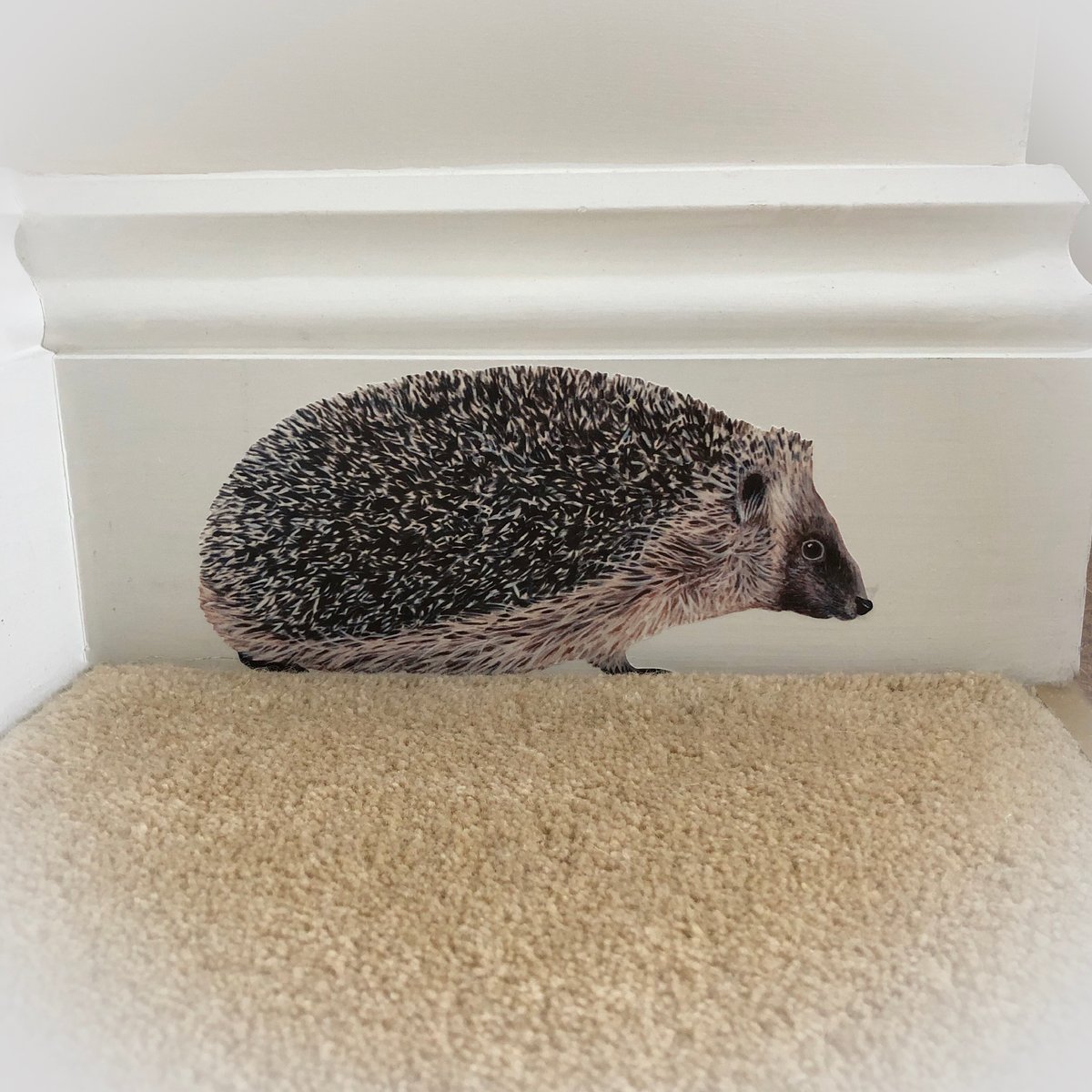 Image of Hobbes the Hedgehog ~ Removable Wall sticker