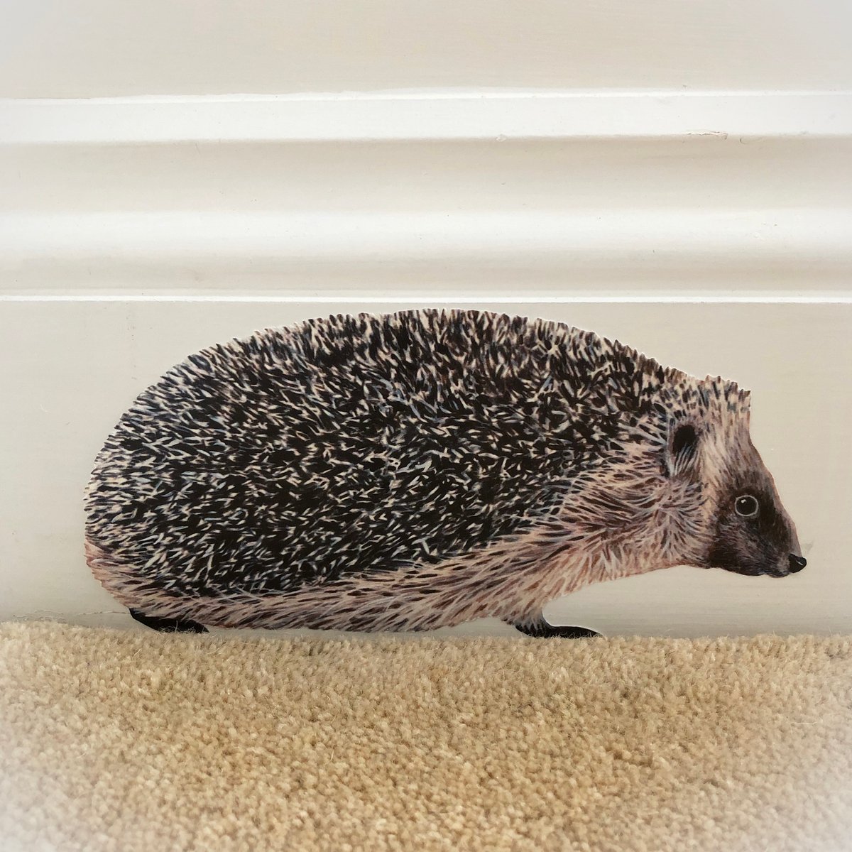 Image of Hobbes the Hedgehog ~ Removable Wall sticker