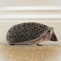 Image 1 of Hobbes the Hedgehog ~ Removable Wall sticker  