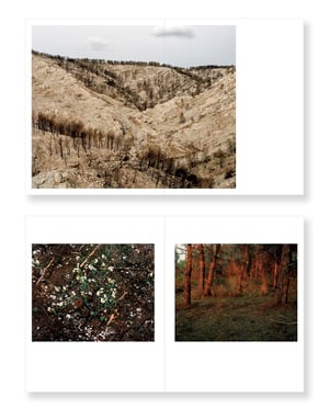 Wildfire - Arnaud Teicher