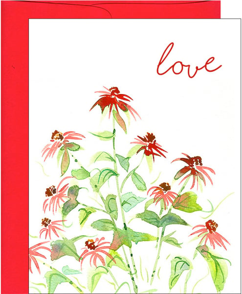 Image of Love Red Coneflowers Floral Greeting Card