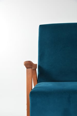 Image of Fauteuil Canard