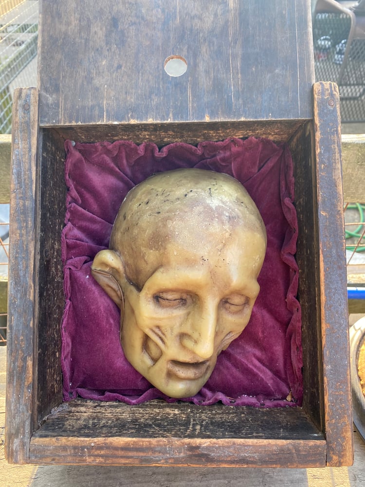 Image of 19c Anatomical ecroche wax head in wooden case