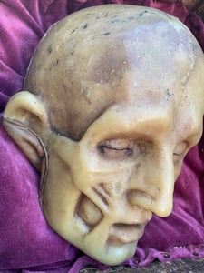 Image of 19c Anatomical ecroche wax head in wooden case