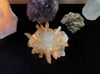 Amber Luster Healing Bracelet