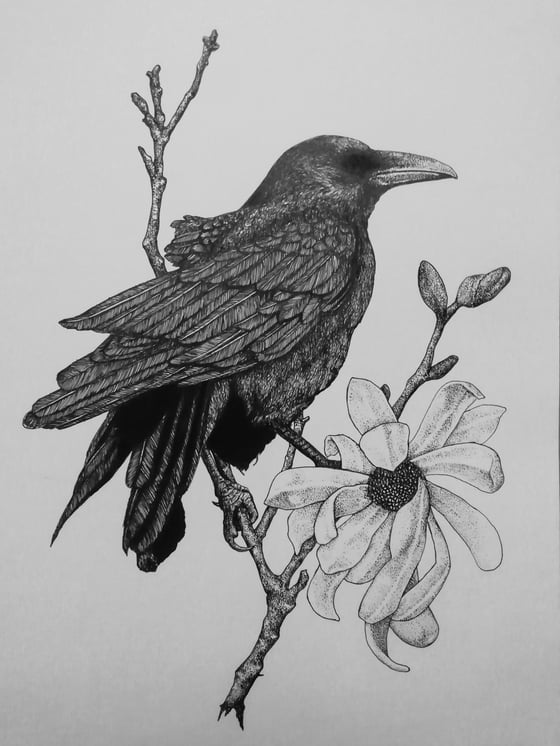 Image of Crow II