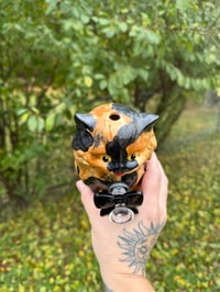 Image 9 of Medium Kittens 