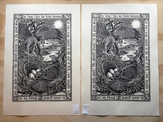 Image of ‘Blickling Buzzards’ Seconds/Proofs