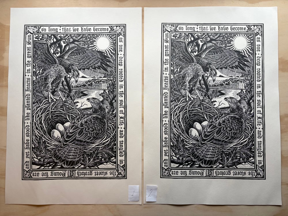 Image of ‘Blickling Buzzards’ Seconds/Proofs