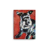 Image 3 of Spotty Schnauzer