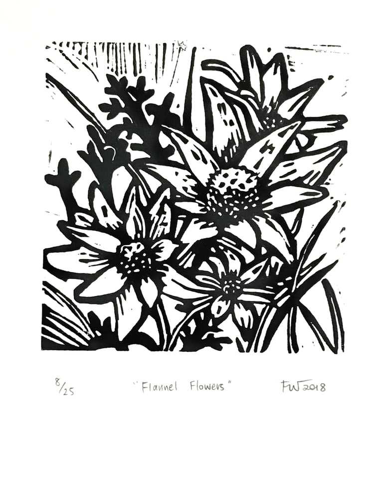 Image of "Flannel Flowers"  2018