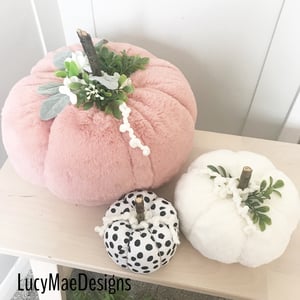 Image of Small Pumpkins