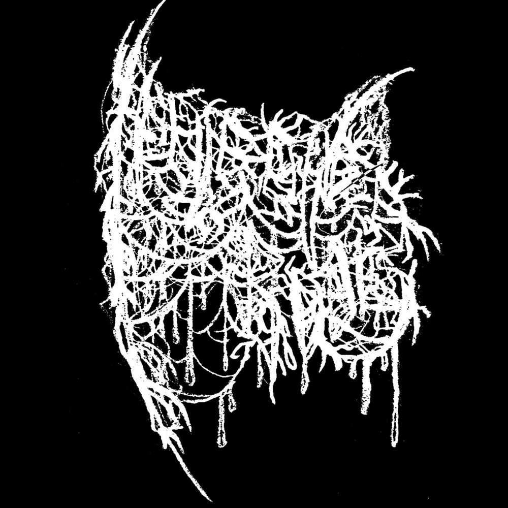 HOLLOWED BODY - Condemnation of the Empty Flesh demo