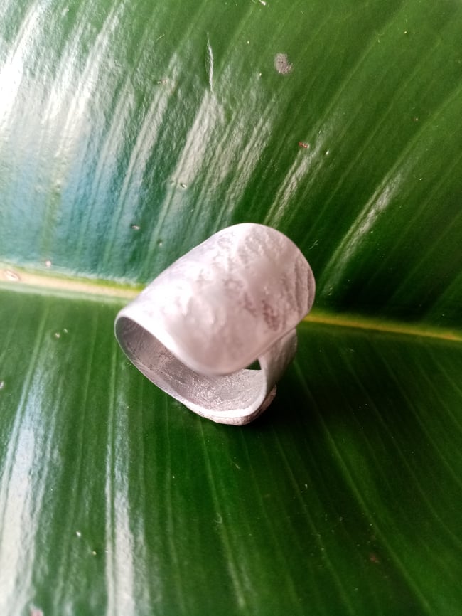 Anillo Salina