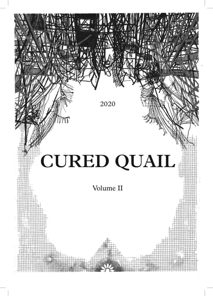 Image of Cured Quail Volume 2 | October 2020 | 300 pages | ISBN 9781527272385