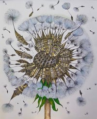 Image 1 of Dandelion 