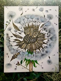 Image 2 of Dandelion 