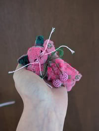 Image 1 of Rhi the raspberry kitten 