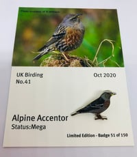 Image 1 of Alpine Accentor - Oct 2020
