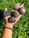 Black Moonstone Palm Stone