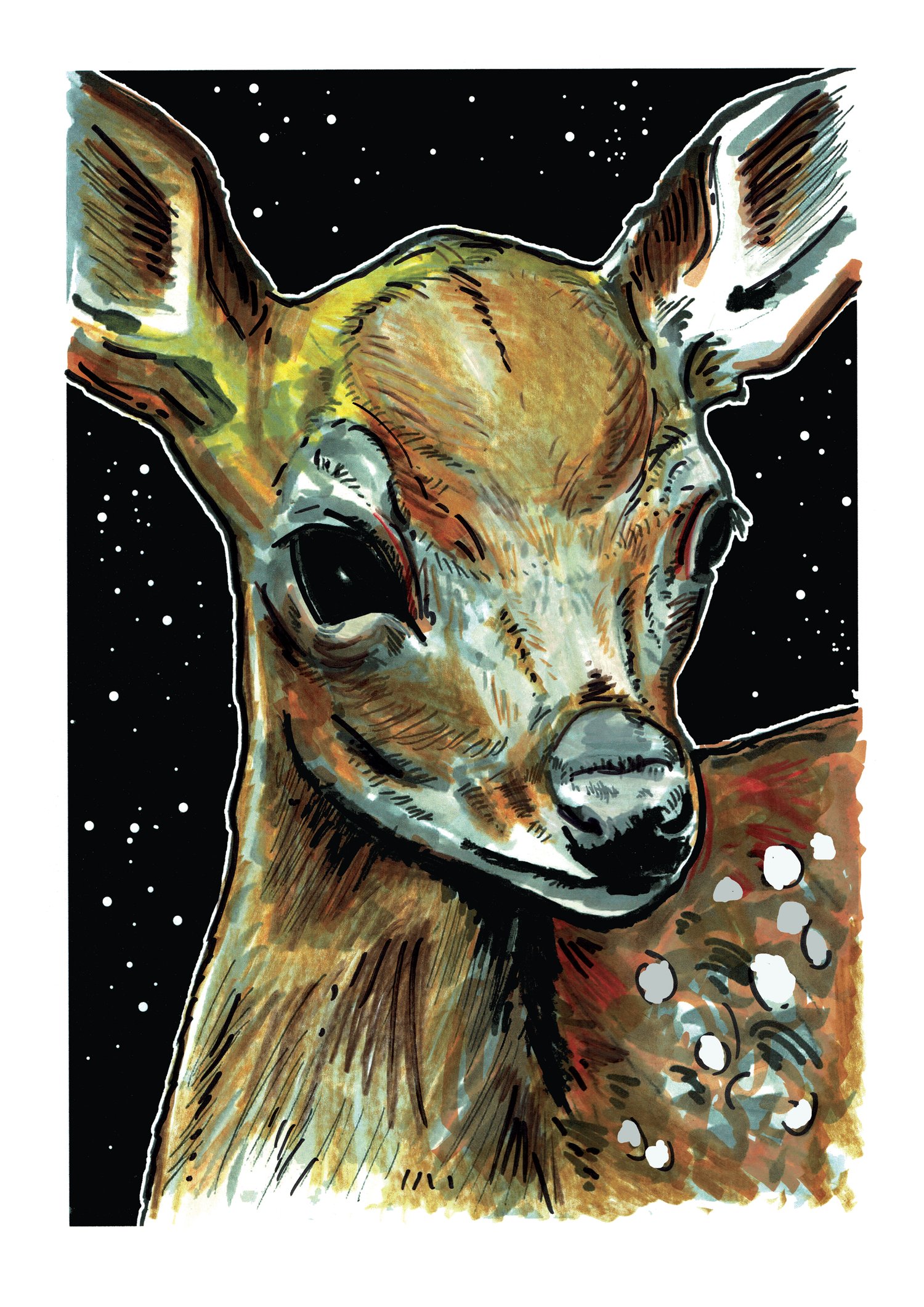 Image of Deer At Night Art Print Signed A3 Size (16" x 12")