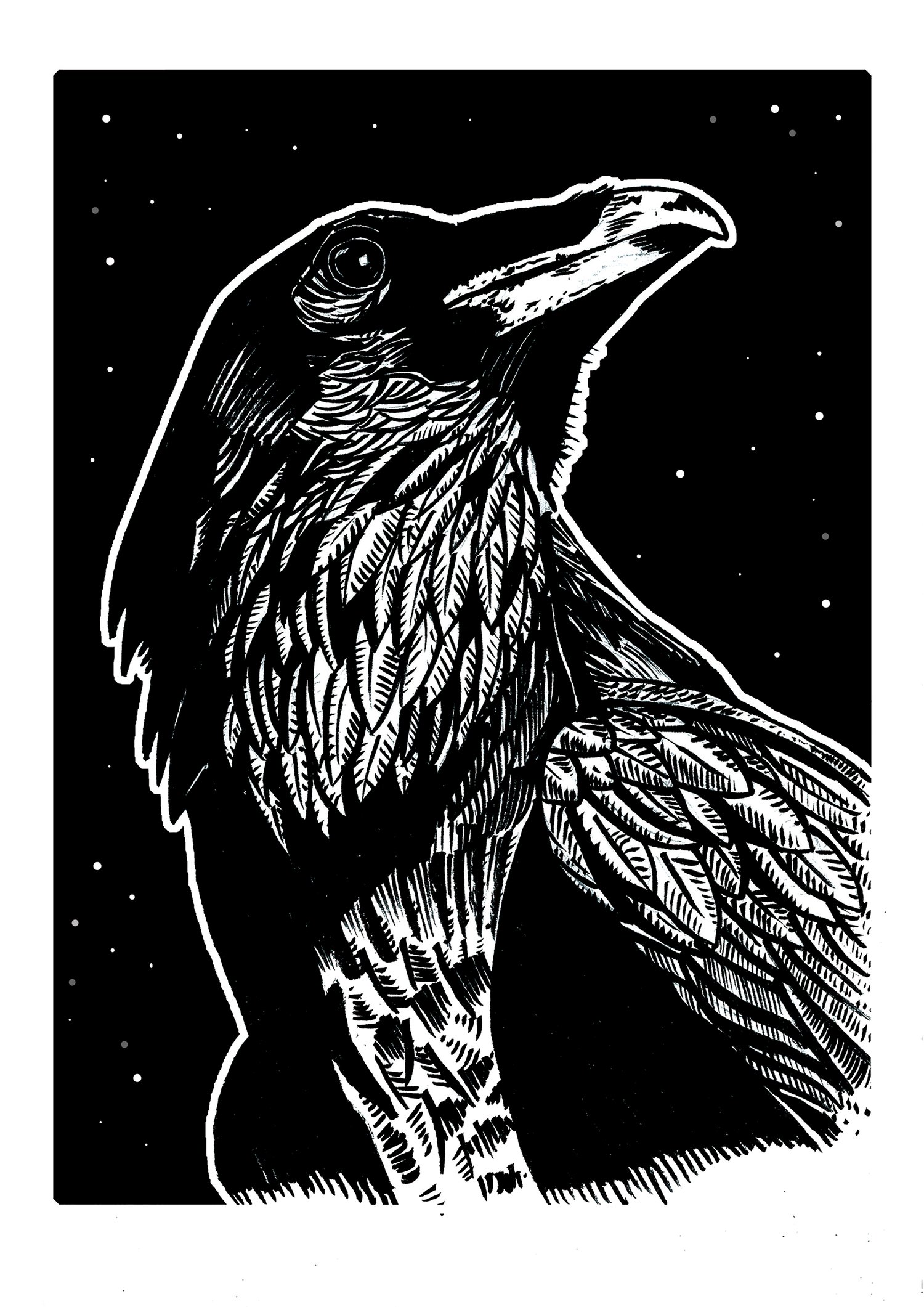 Image of Raven One Art Print Signed A3 Size (16" x 12")