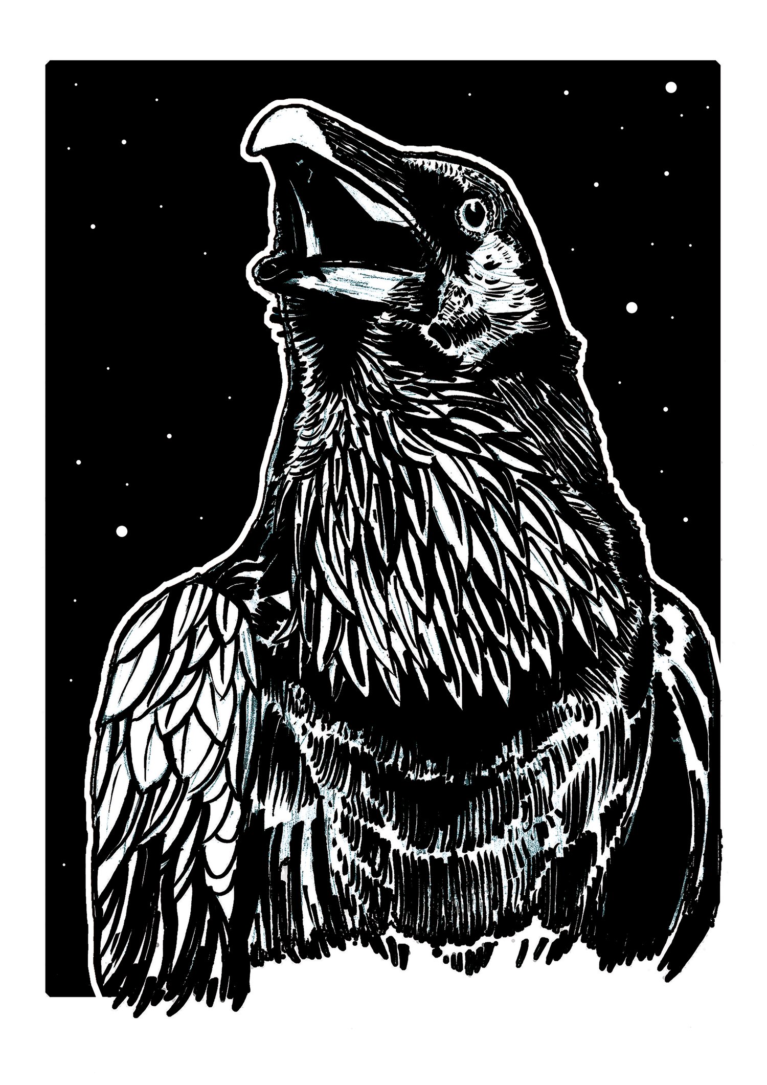 Image of Raven Two Art Print Signed A3 Size (16" x 12")