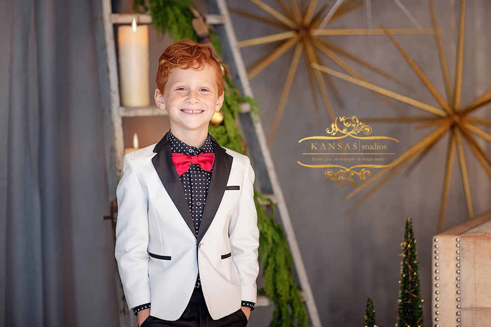 Image of 2020 Elegant Family and Children Studio Mini Sessions