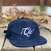 QLC Logo Hat