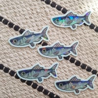 Sardines 🐟