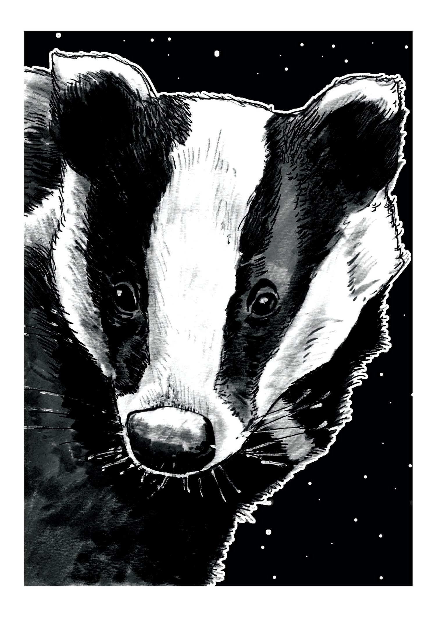 Image of Badger At Night Art Print Signed A3 Size (16" x 12")