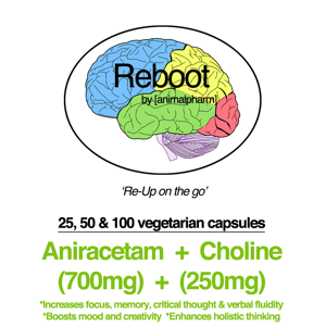 Image of ANIRACETAM(700mg) + CHOLINE(250mg)