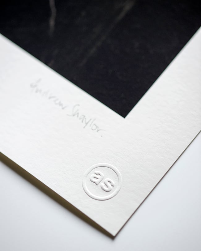 Close to Home - 4 (Dead Tree Sapling, Ryersh Lane)