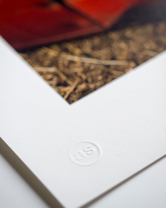 New Mexico #3 (Chevrolet Bel Air)