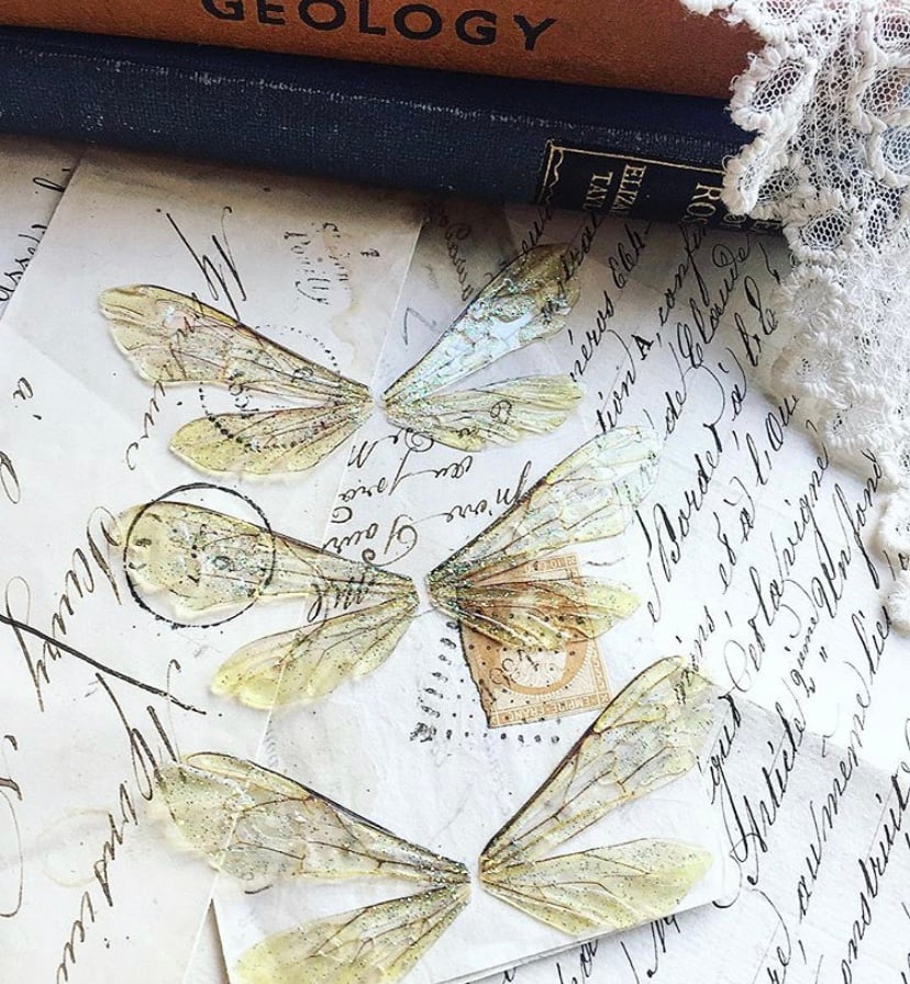 Image of Set of three natural bee faerie wings