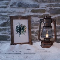 Image 3 of Lichen and snowflake