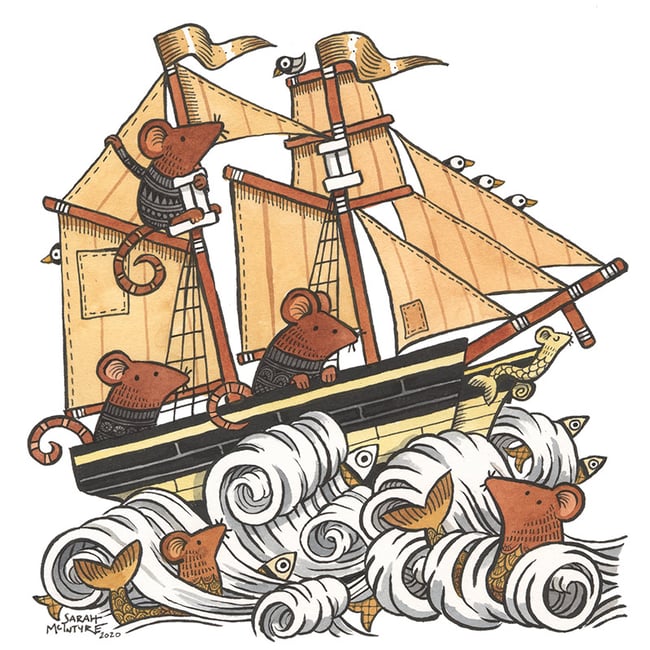 Mouse ship cards - variety pack of 5