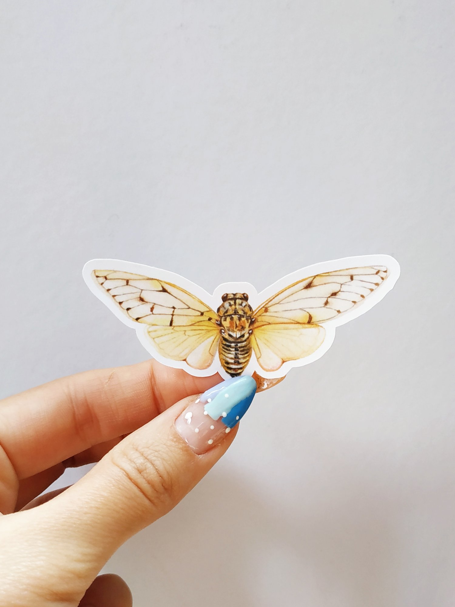 Image of Cicada Insect Sticker Pack, Waterproof and Scratch resistant 