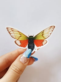 Image 5 of Cicada Insect Sticker Pack, Waterproof and Scratch resistant 