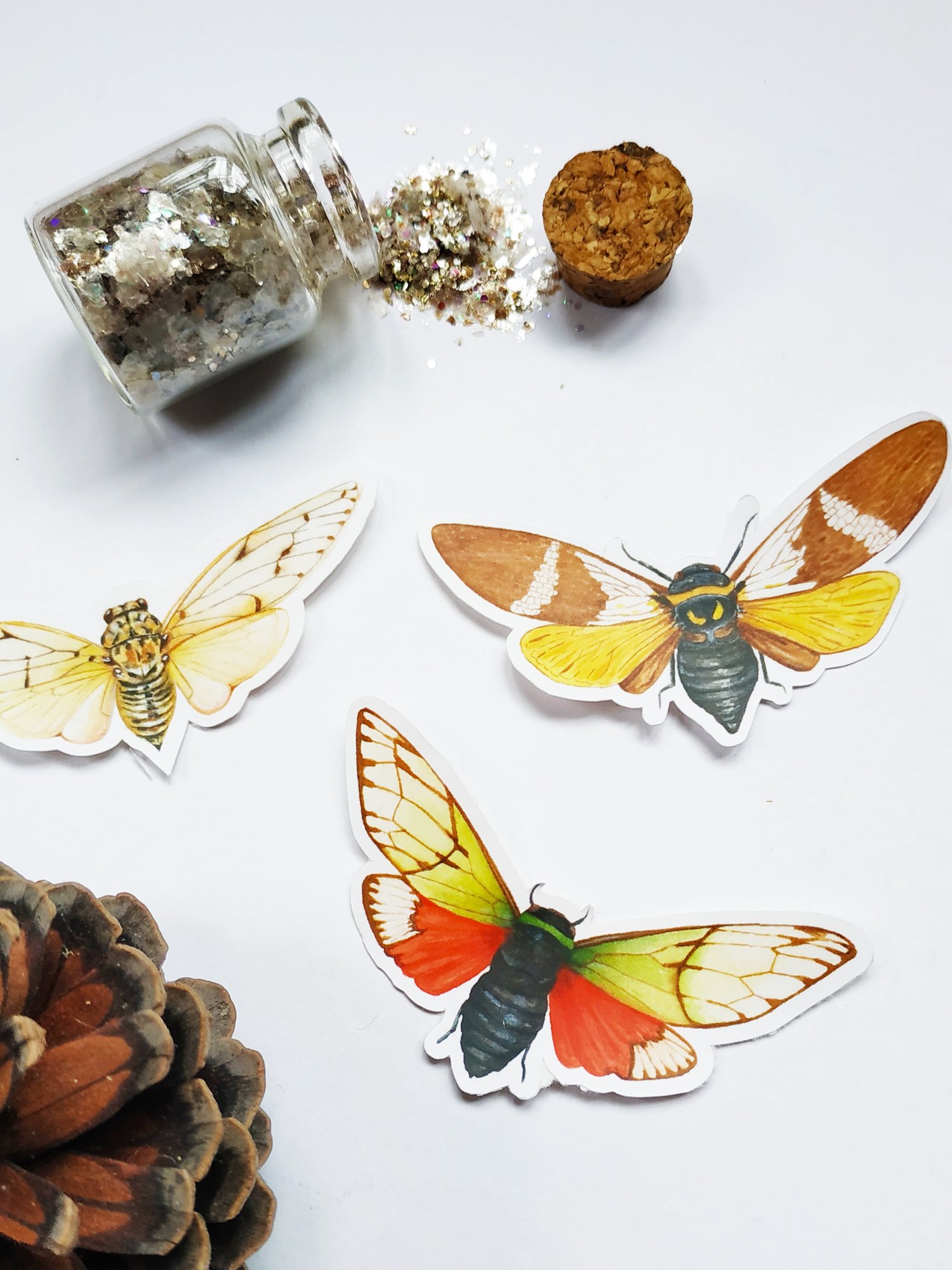 Image of Cicada Insect Sticker Pack, Waterproof and Scratch resistant 