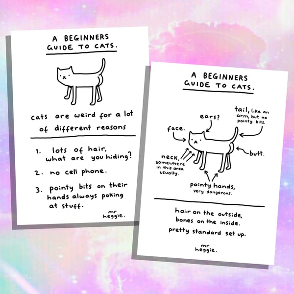 Image of The beginners guide to cats