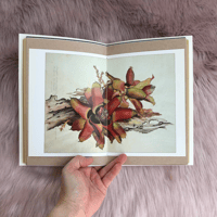 Image 1 of Junk Journal - Blush Cover - 34