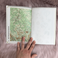 Image 3 of Junk Journal - Blush Cover - 35