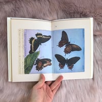 Image 1 of Junk Journal - Blush Cover - 39