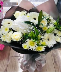 White Elegance  🤍