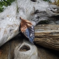 Image 1 of Blackened Rose Leaf 