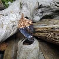 Image 2 of Blackened Rose Leaf 