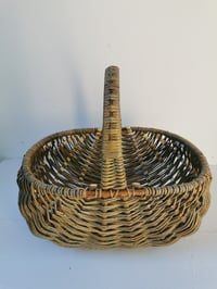 Image 3 of Welsh shopper